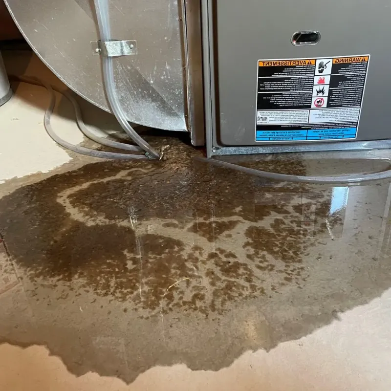 Pipe Burst and Leak Restoration in Tatamy, PA